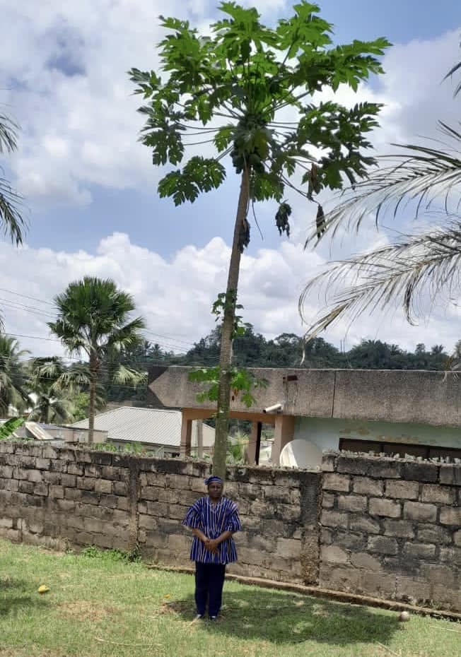 A MANURED LIFE: Revamping “Wasteful” People For A Better Life